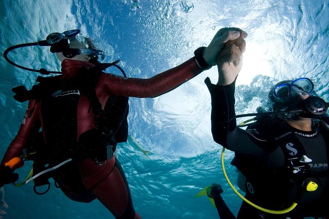 Beginners Scuba Diving Experience in Gran Canaria - Meeting the instructor and preparing your gear