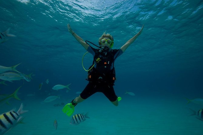 Beginners Scuba Diving Experience in Gran Canaria - Price and value at $108.89