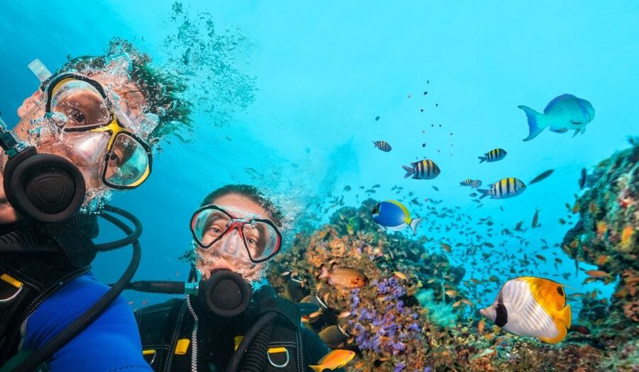 Belek: Scuba Diving in the Mediterranean Sea - Two Mediterranean sessions, not a full day underwater