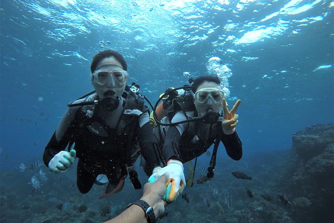 Blue Cave Area Experience Diving!Free feeding & photo images Chinese guide available!1 group with a dedicated instructor - Key points to know before you book