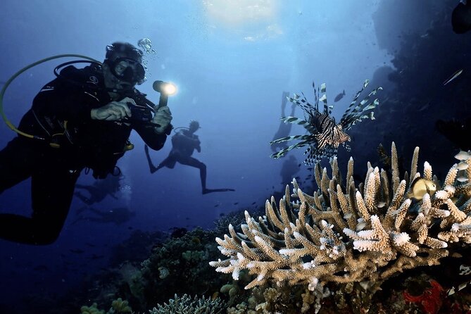 Blue Dive Private Guided Scuba Dive Cairns - Lunch, gear, and the long ride home