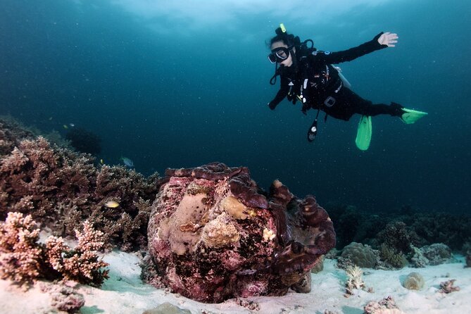 Blue Dive Private Guided Scuba Dive Cairns - Practical limits you should know before booking