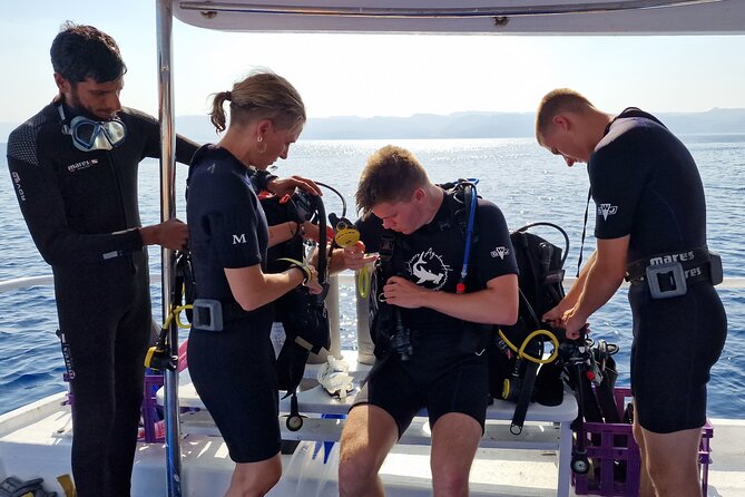 Boat Dive 2 Guided Dives with Lunch Included wreck dive&reef dive - Key points to know before you book
