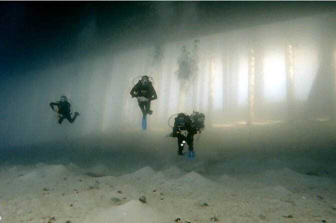Boat Dive 2 Guided Dives with Lunch Included wreck dive&reef dive - A wreck and reef in one Aqaba boat outing