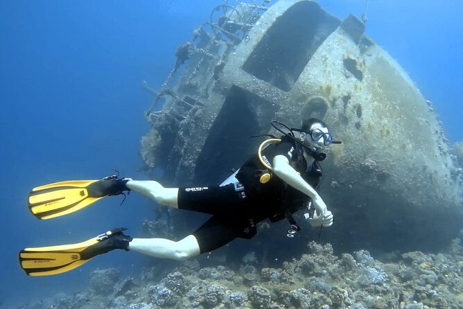 Boat Dive 2 Guided Dives with Lunch Included wreck dive&reef dive - How the six-hour schedule works