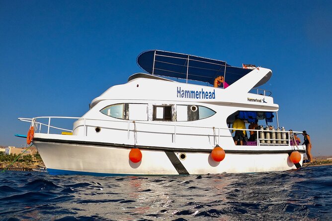 Boat Dive and Snorkeling Experience in Aqaba - Aqaba’s Red Sea from a boat