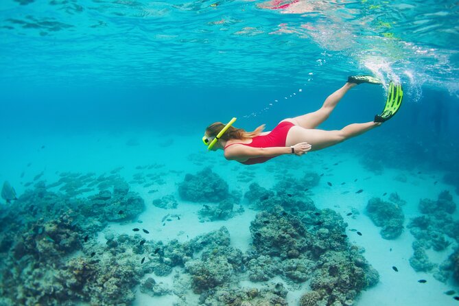 Boat Dive and Snorkeling Experience in Aqaba - Pickup, timing, and group size