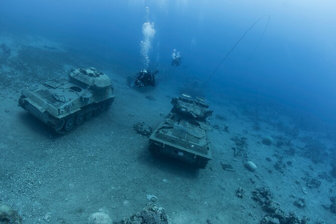 Boat Dive and Snorkeling Experience in Aqaba - Safety and comfort for first-timers