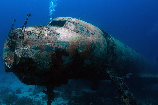Boat Dive Shipwreck/ Airplanes/ Reef /2 tanks - Key points at a glance