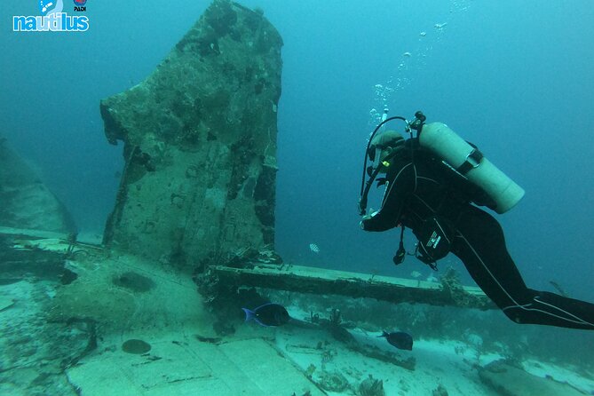 Boat Dive Shipwreck/ Airplanes/ Reef /2 tanks - What the $135 price means