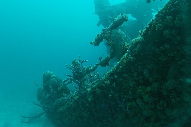 Boat Dive Shipwreck/ Airplanes/ Reef /2 tanks - The certification issue deserves attention