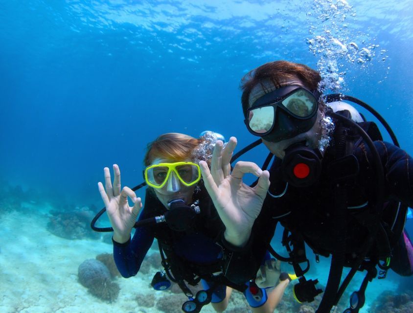 Bodrum: Full-Day Scuba Diving Tour - Two caverns and the appeal of different depths
