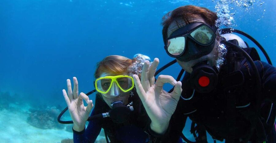 Bodrum: Full-Day Scuba Diving Tour - Picking the right site for your experience