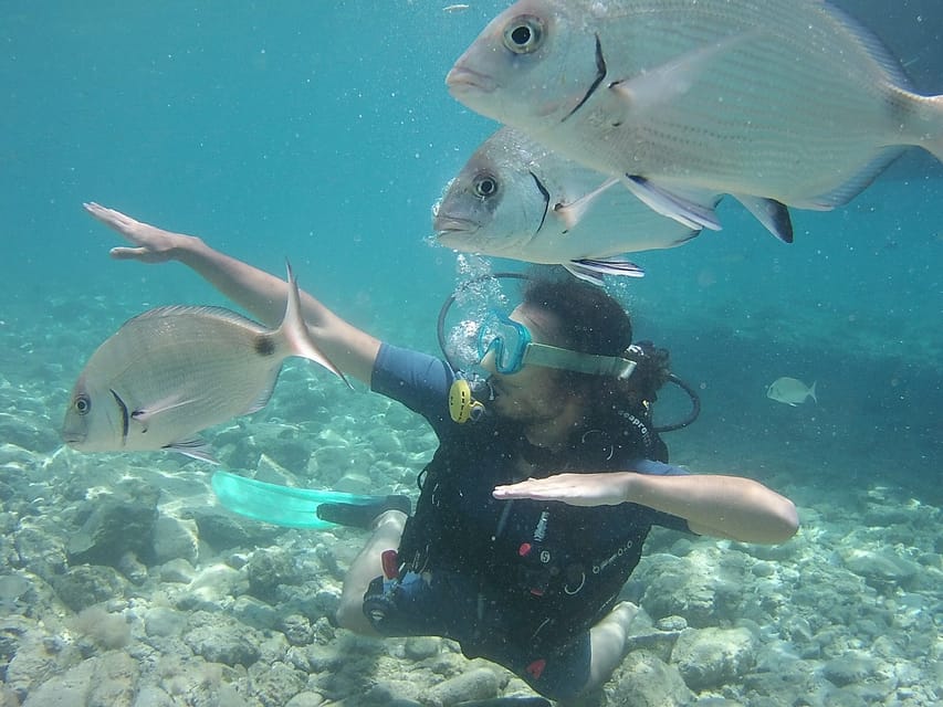 Bodrum: Scuba Diving Trip with Lunch - Key points to know before booking