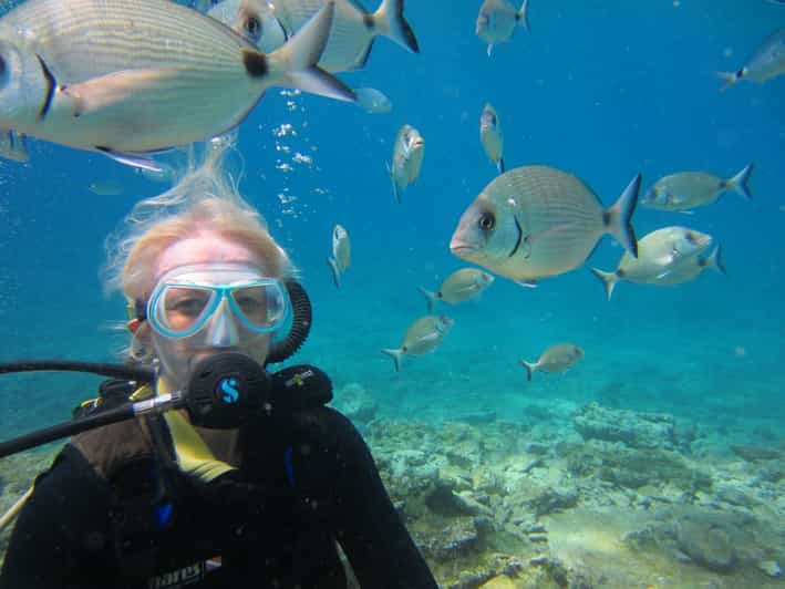 Bodrum: Scuba Diving Trip with Lunch - Leaving Halikarnas Harbour for Black Island