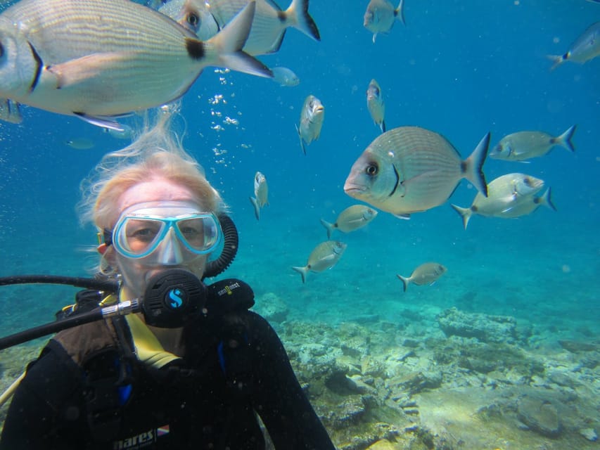 Bodrum: Scuba Diving Trip with Lunch - About 25 minutes beneath the surface