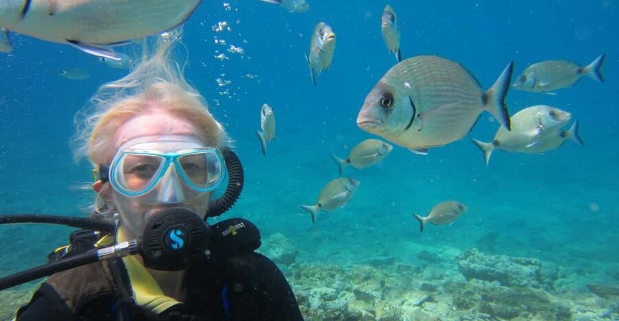 Bodrum: Scuba Diving Trip with Lunch - Timing, cancellations, and practical limits