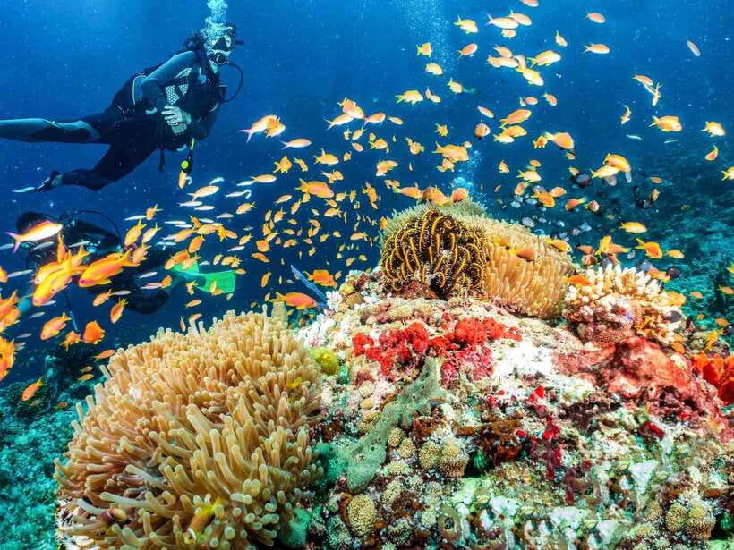 Bohol: Discover Scuba Diving - No Experience Needed - Key Points