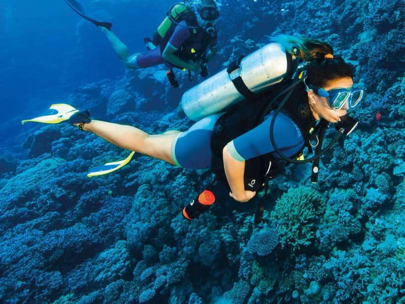 Bohol: Discover Scuba Diving - No Experience Needed - A Small Group With Room for Questions