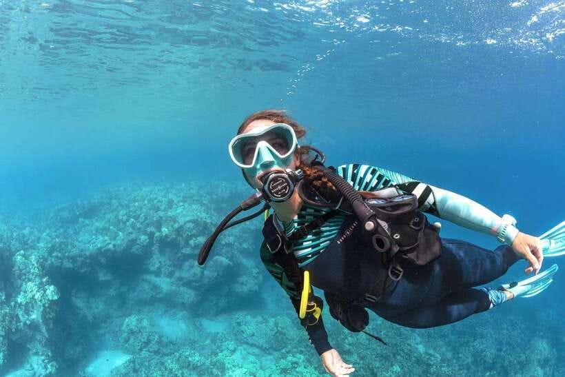 Bohol: Discover Scuba Diving - No Experience Needed - The First Hour: Learning Without Pressure