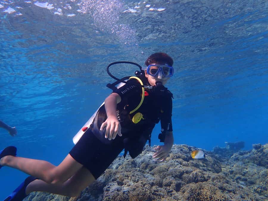 Bora Bora: Introductory Dive - Your first steps into Bora Bora’s lagoon