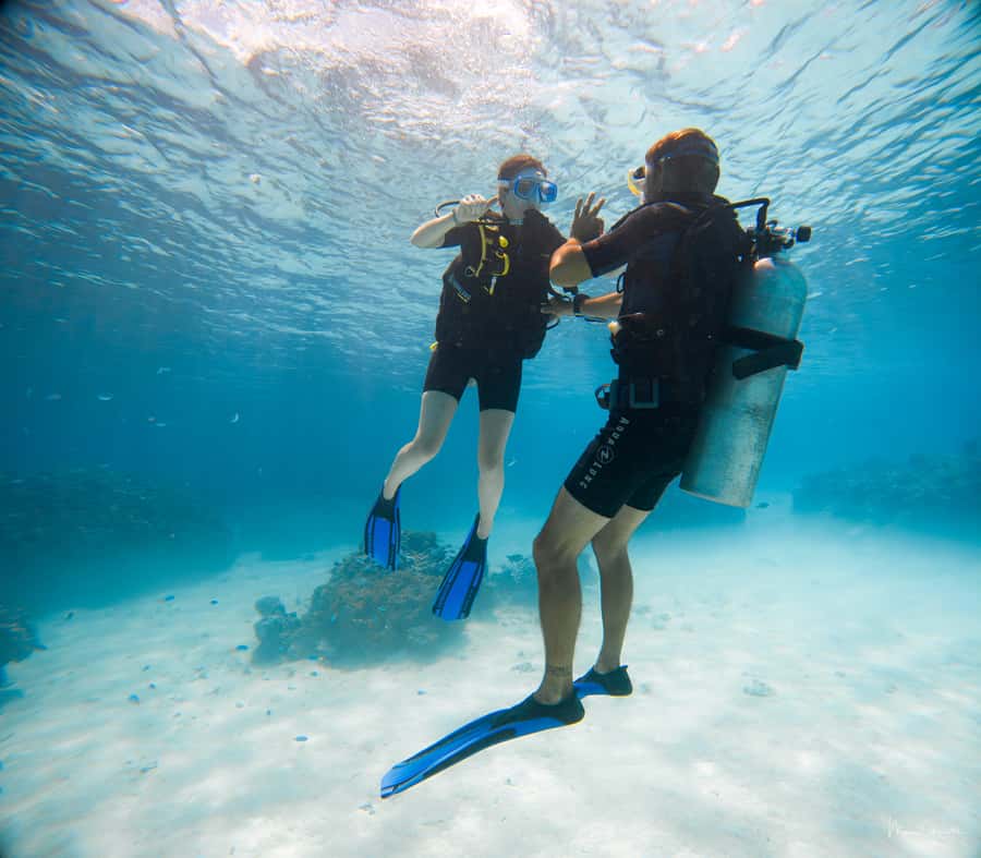 Bora Bora: Introductory Dive - Why the coral garden matters for beginners