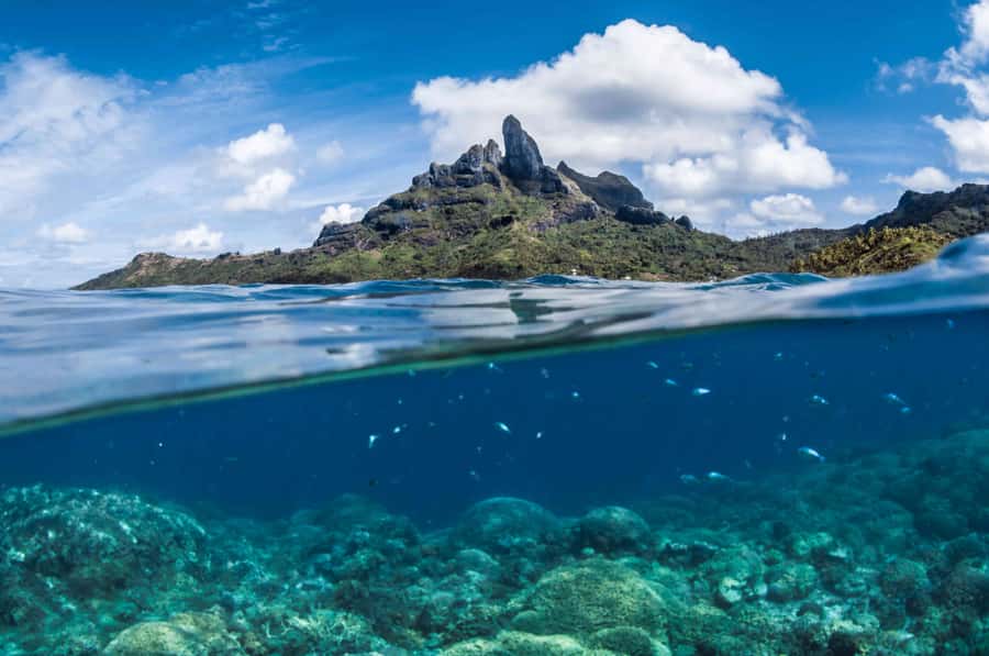 Bora Bora: Introductory Dive - Who should book this experience?