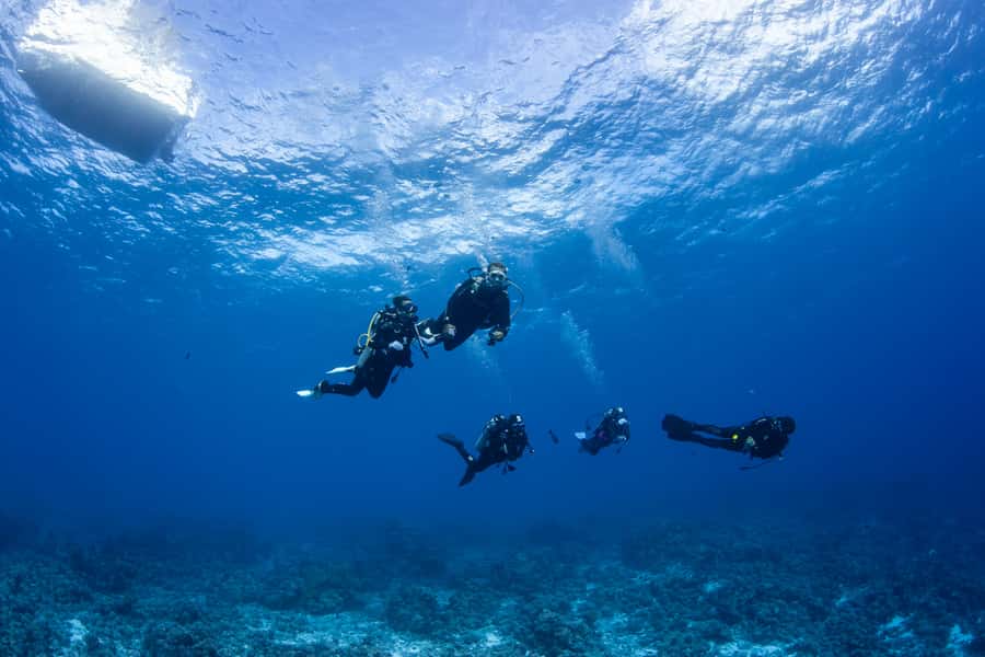 Bora Bora: Morning 2 tank dive for certified divers - Tea, cookies, and a sensible break between sessions