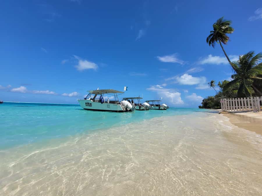 Bora Bora: Morning 2 tank dive for certified divers - A five-diver limit keeps the briefing useful