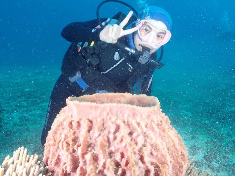 Boracay: Introduction to Scuba Diving Experience - The classroom lesson before you get wet