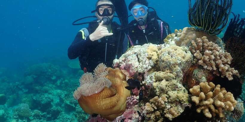 Boracay: Introduction to Scuba Diving Experience - What you see below the surface