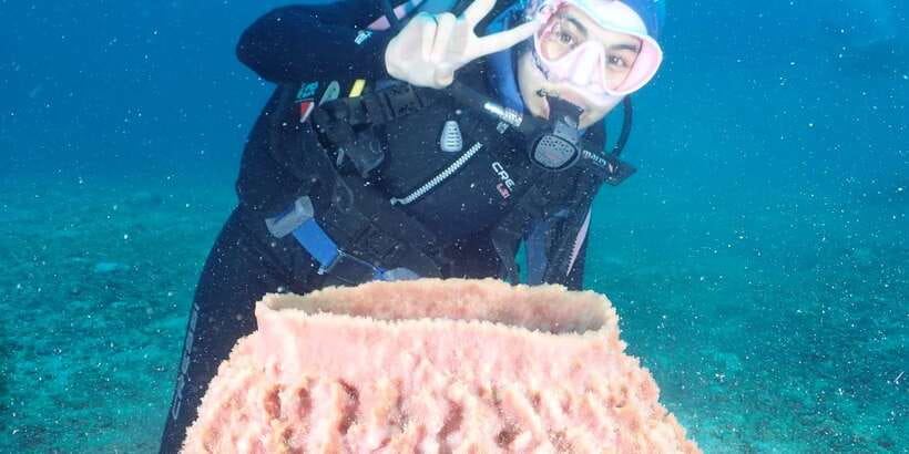 Boracay: Introduction to Scuba Diving Experience - Photos, videos, and the certificate