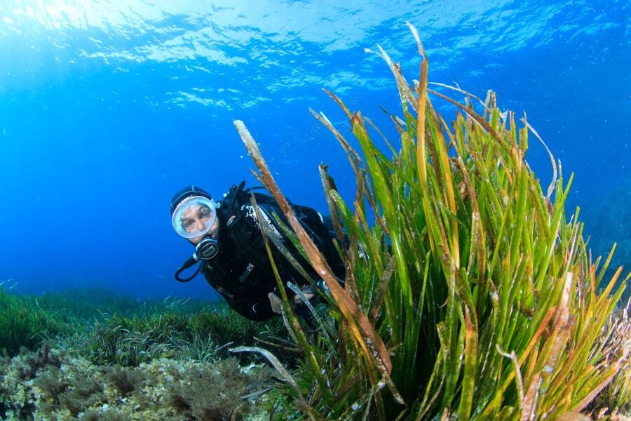 Bosa: Scuba Diving for Beginners in the Bosa Gulf - Riding out into the Bosa Gulf