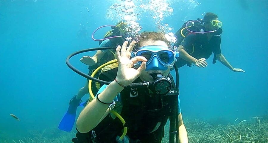 Brindisi: Underwater scuba diving - Key points to know before booking