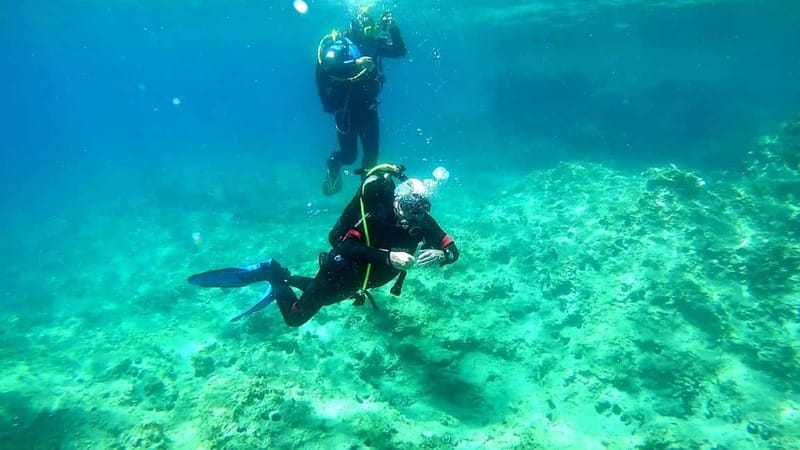 Budva: Scuba Diving Experience - Key points to know before booking