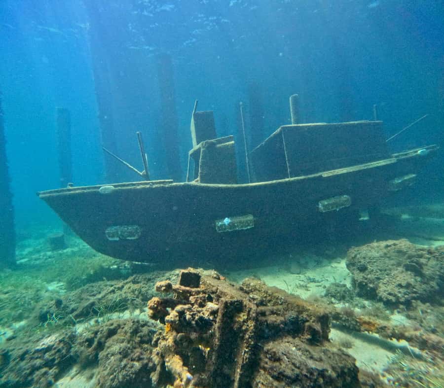Busselton: Jetty Scuba Dive Tours with Underwater Sculptures - Starting at Swan Dive on Busselton Foreshore