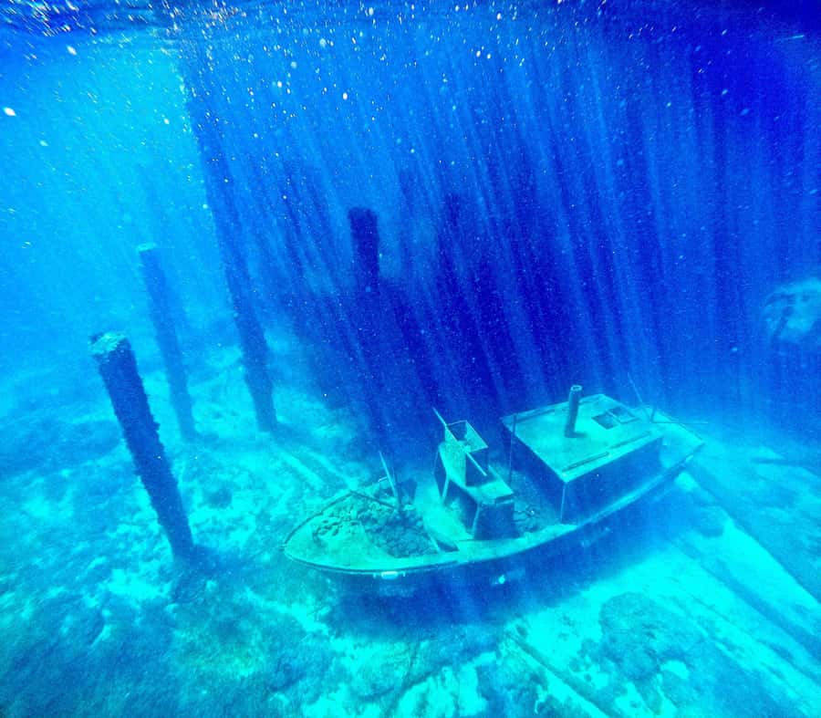 Busselton: Jetty Scuba Dive Tours with Underwater Sculptures - Who will get the most from this experience