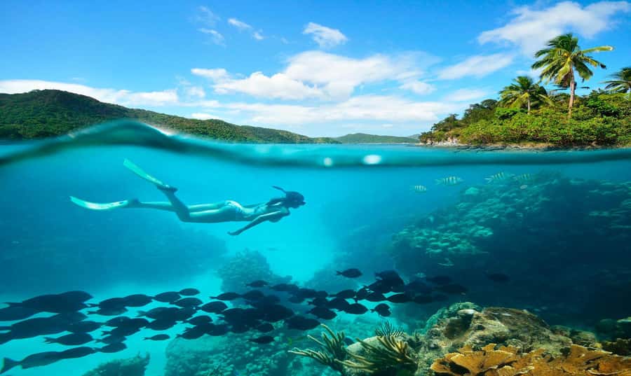 Buzios - DIVING EXPERIENCE - Key details before you book