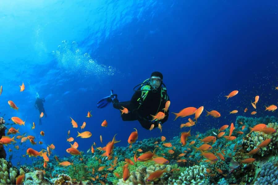 Buzios - DIVING EXPERIENCE - João Fernandinho, not João Fernandes