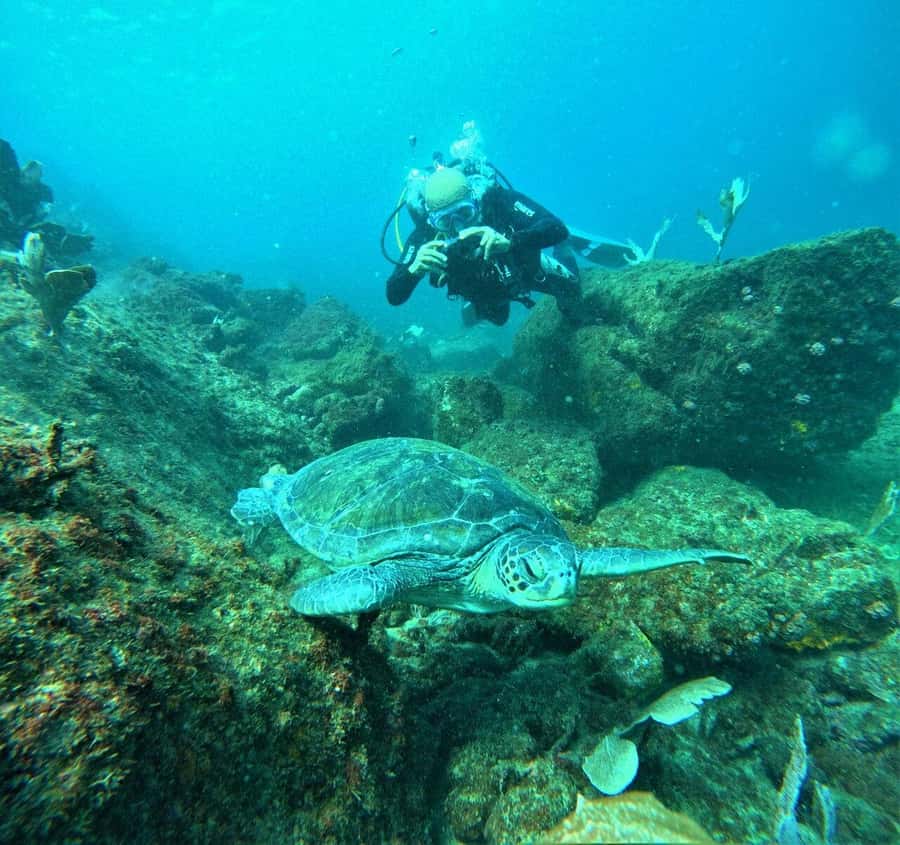 Buzios - DIVING EXPERIENCE - What the three-hour experience feels like
