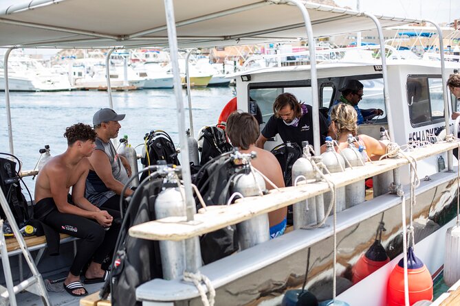 Cabo San Lucas 2 Tank Scuba Diving - Group size, service, and the human side