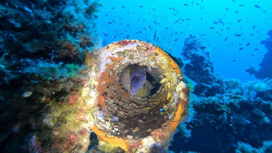 Cagliari: Discover scuba diving for Beginners - Meeting at the center and getting fitted