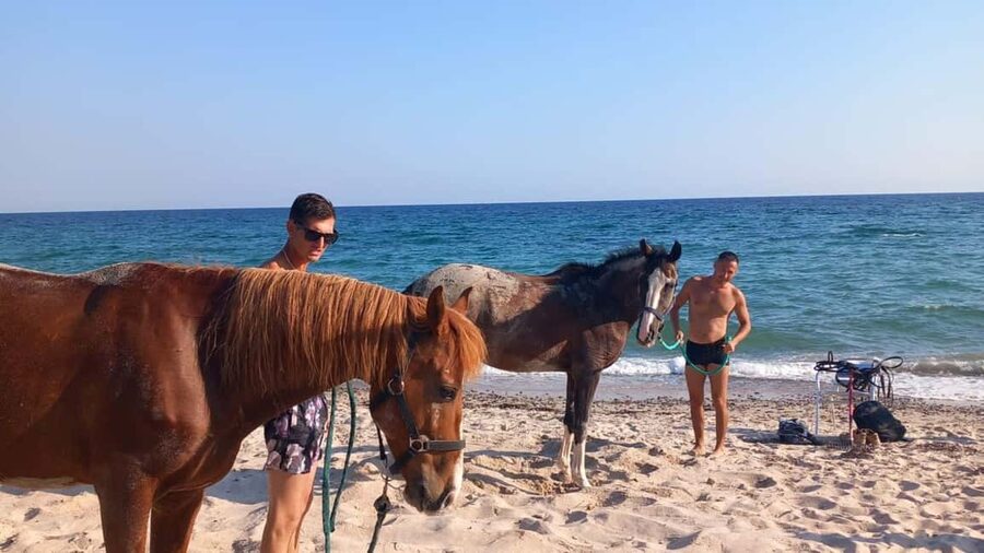 Cagliari: horseback riding with sunrise dive - Key points to know before booking