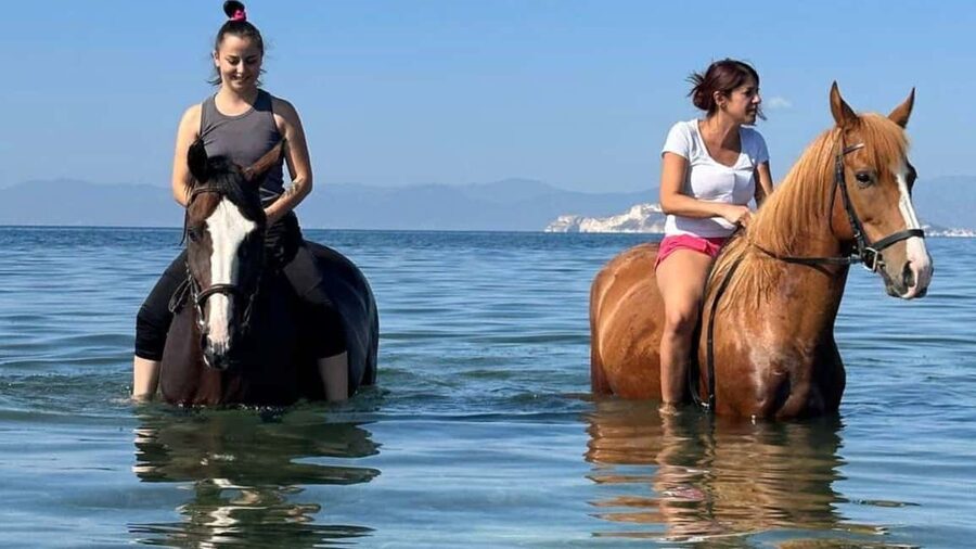 Cagliari: horseback riding with sunrise dive - Practical limits and who should skip it