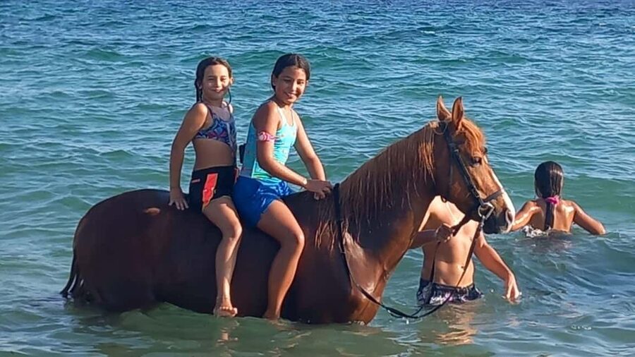 Cagliari: horseback riding with sunrise dive - The best fit for this Sardinia experience