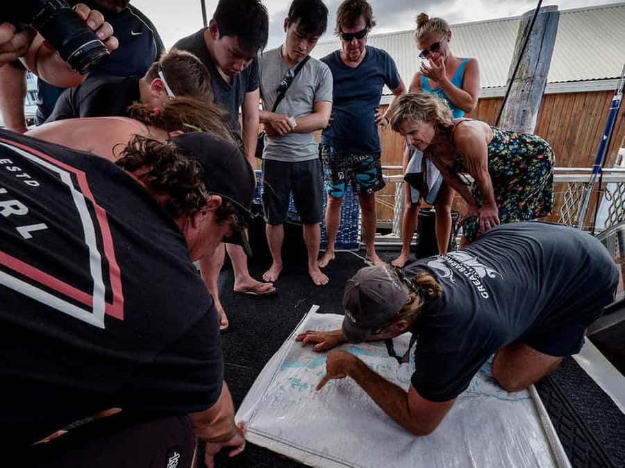 Cairns: 2-Day Great Barrier Reef Dive and Snorkel Boat Trip - Key points at a glance