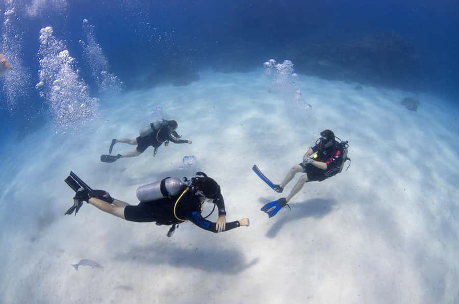 Cairns: 4-Day PADI Open Water Course - Day four: the final two open-water sessions
