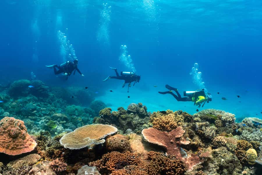 Cairns: 4-Day PADI Open Water Course - Health, age, and the practical tests