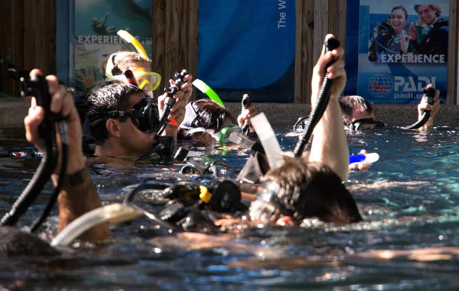 Cairns: 4-Day PADI Open Water Course - Who will get the most from this course?