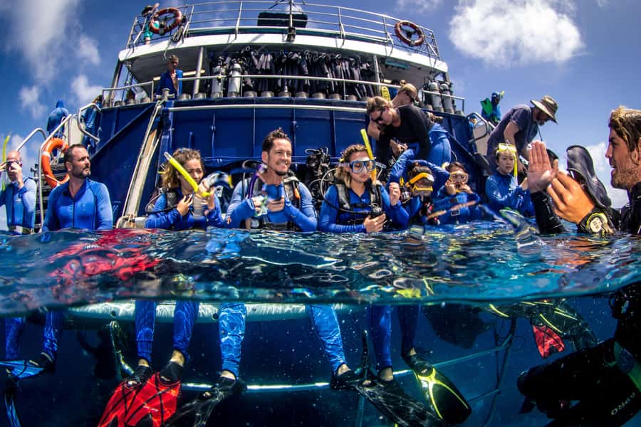 Cairns: Best Value All-inclusive Reef Trip With Scuba Dive - Key points to know before booking